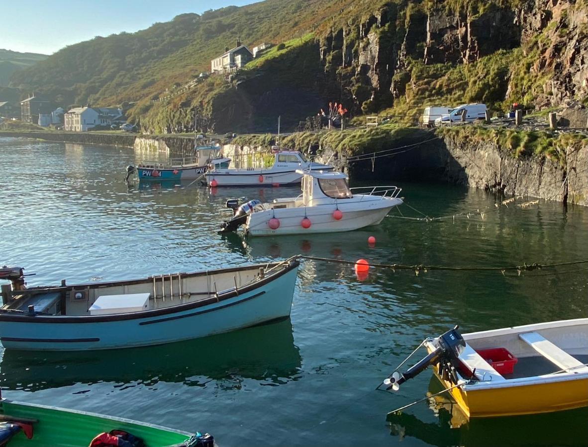 Polrunny Farm Elderberry Cottage With Sea View Boscastle Eksteriør bilde