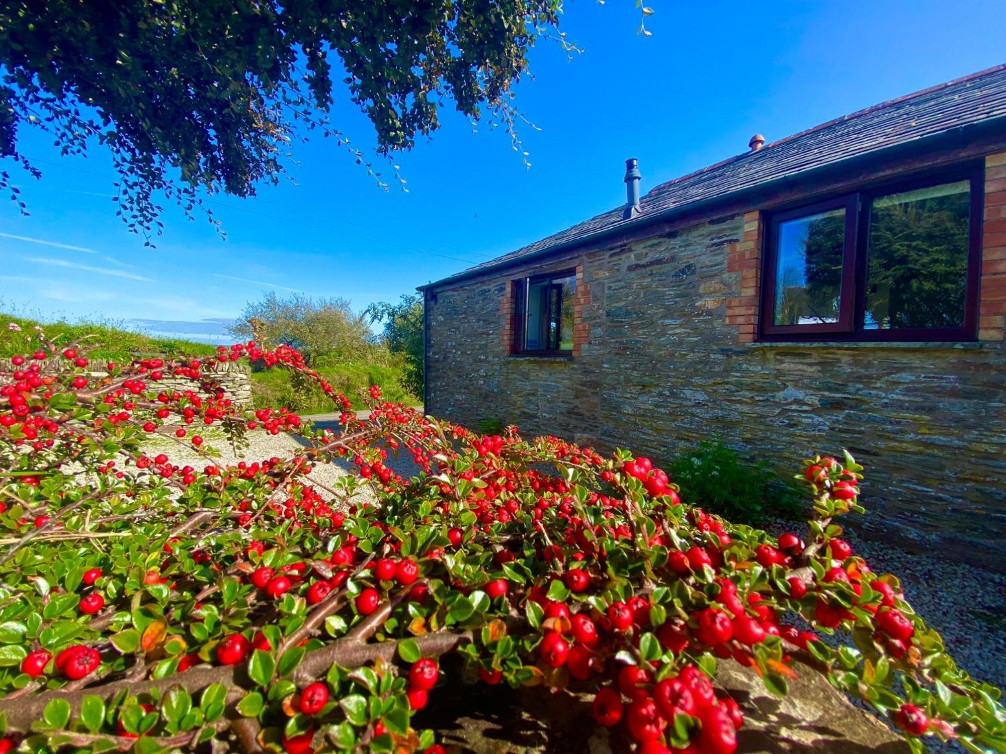 Polrunny Farm Elderberry Cottage With Sea View Boscastle Eksteriør bilde